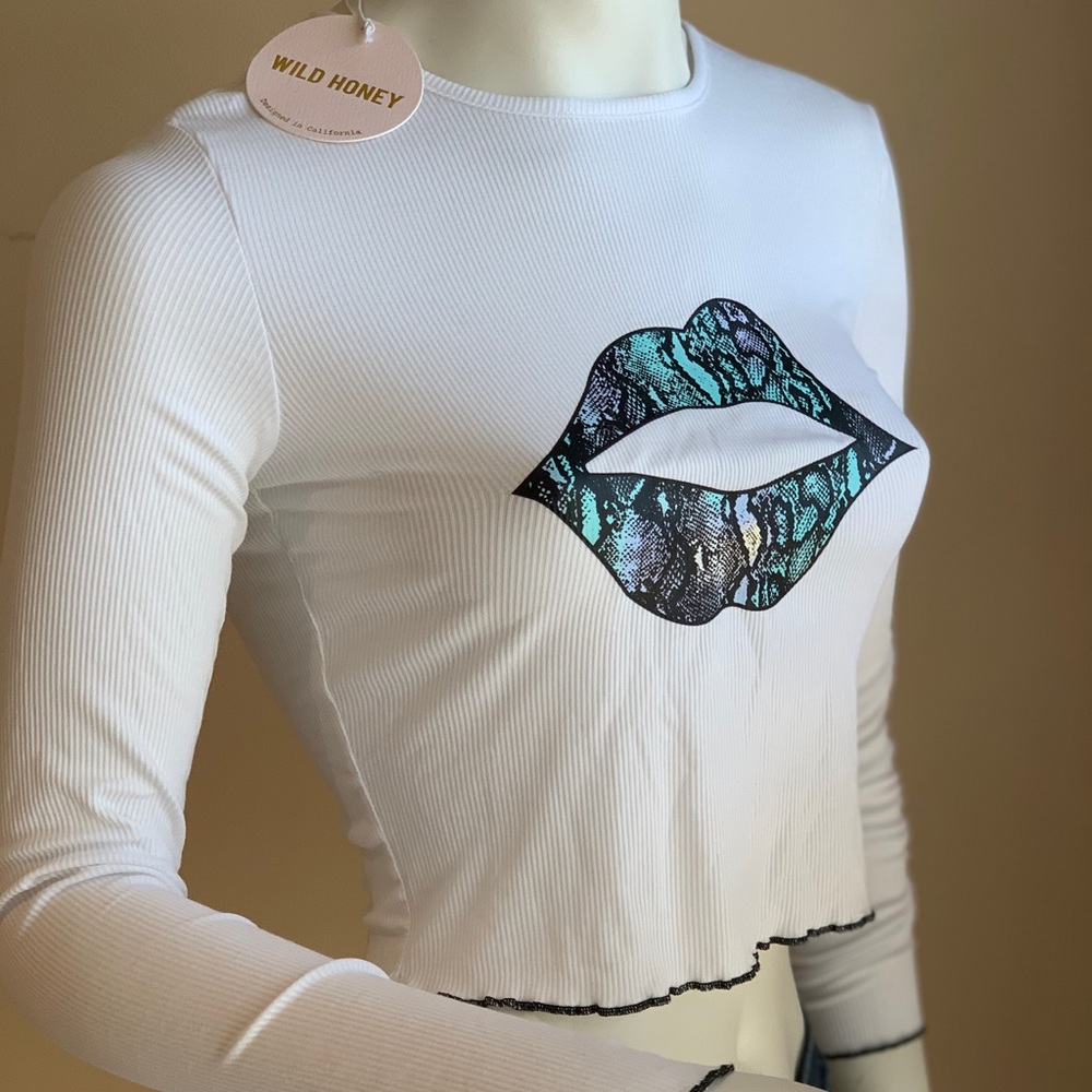 Wild Honey Long Sleeves Crop Top